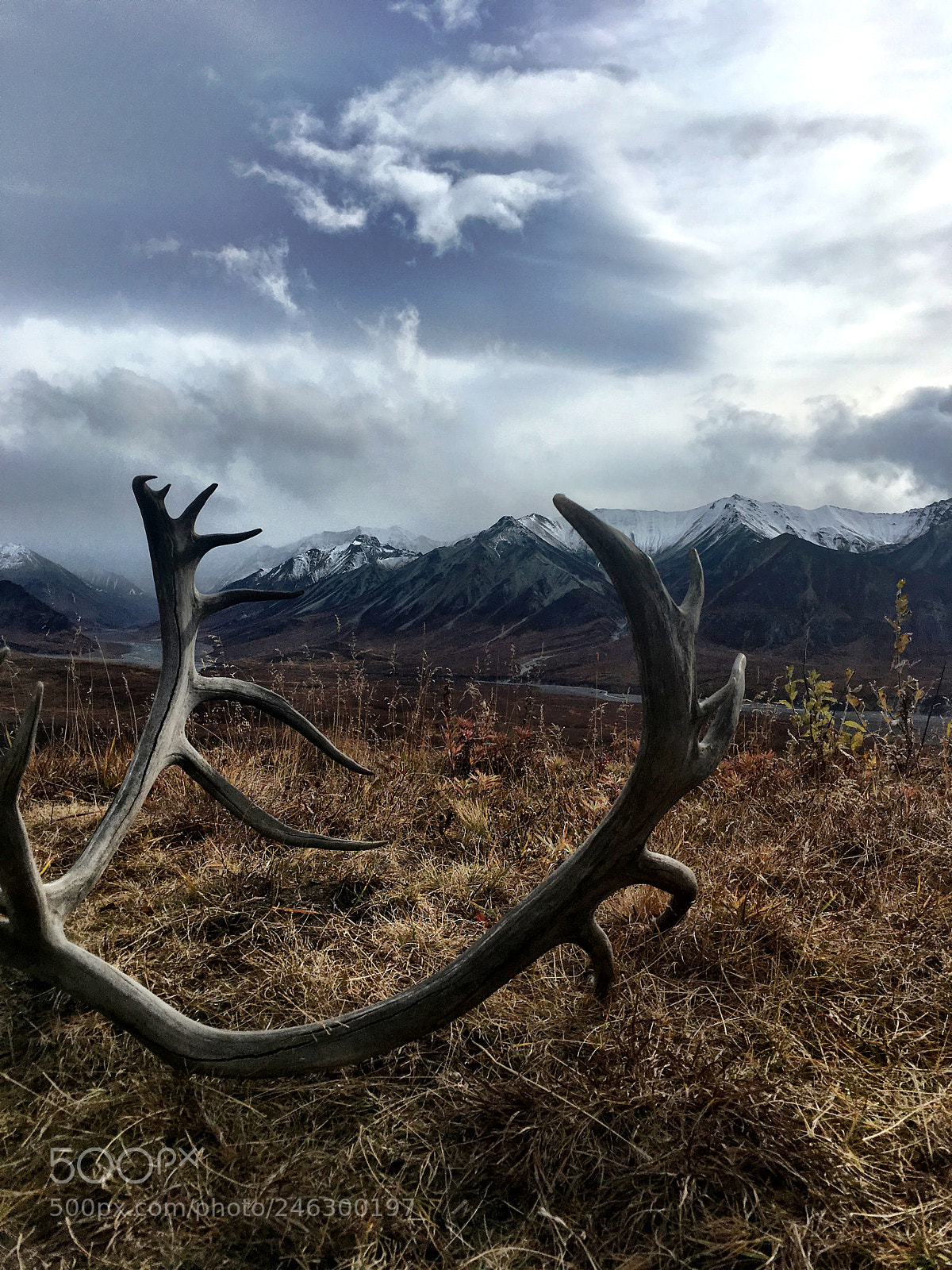 Apple iPhone SE sample photo. September 2017. denali national park photography