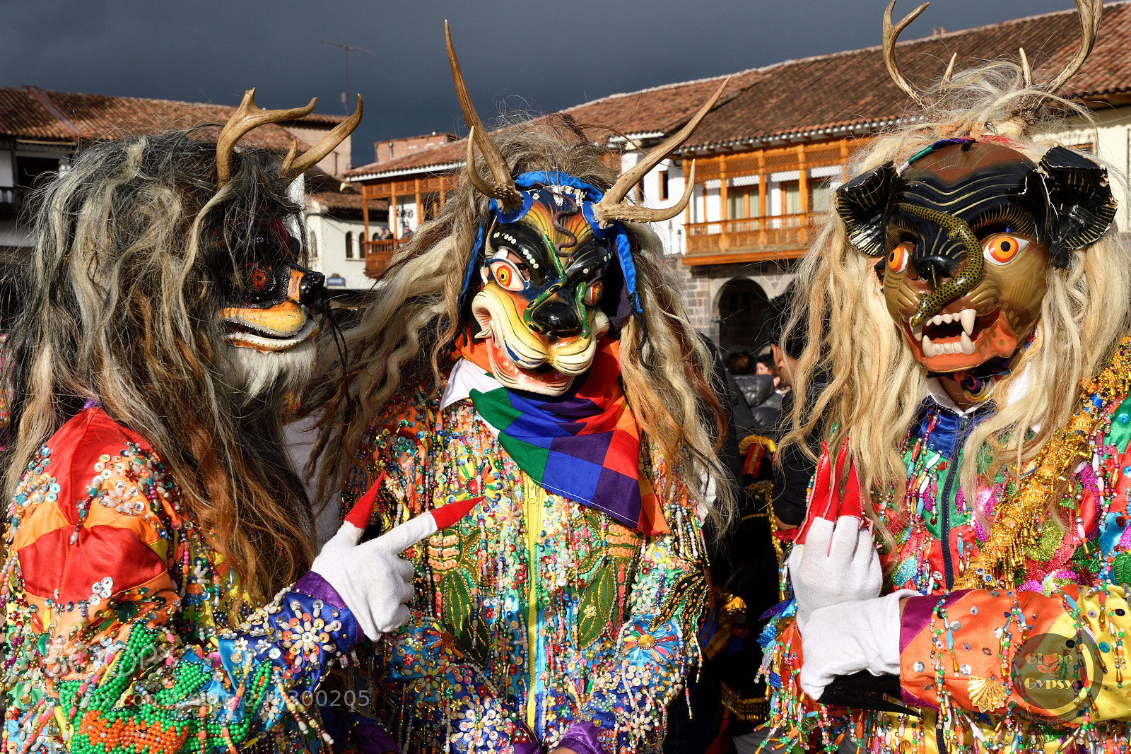 Nikon D500 sample photo. Cuzco creatures photography
