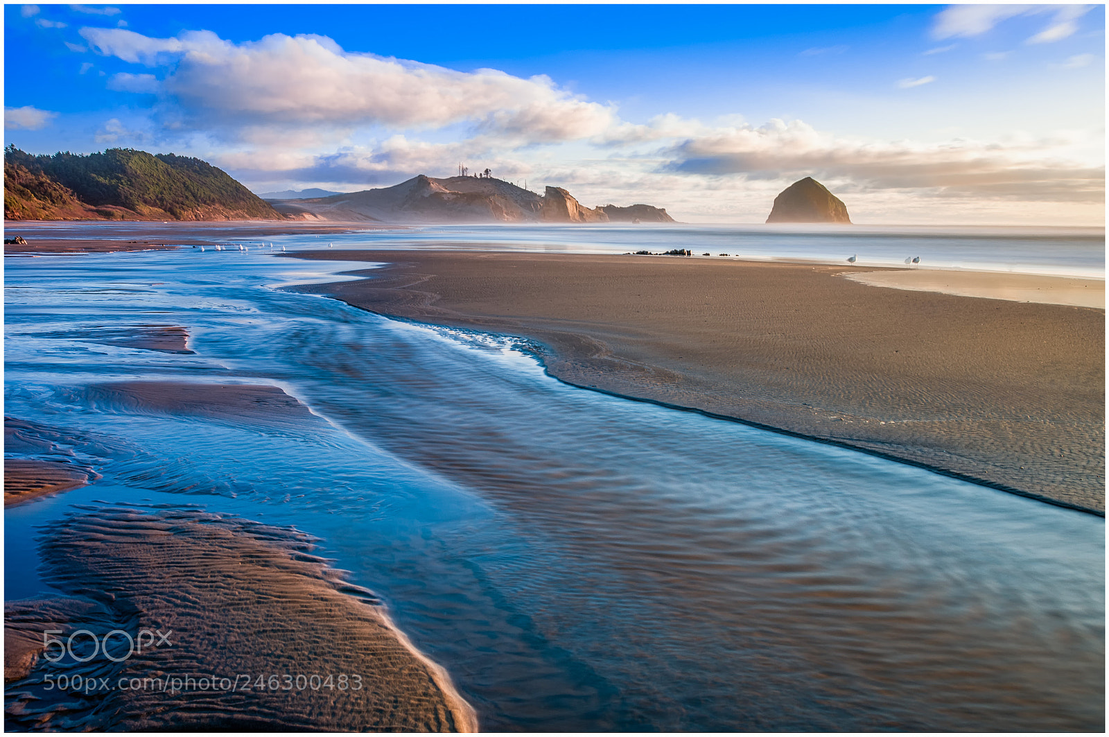 Nikon D300S sample photo. Cape kiwanda north side photography