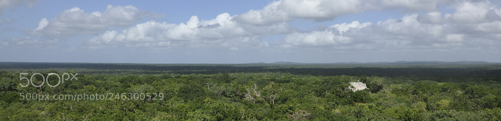 Nikon D90 sample photo. Calakmul photography