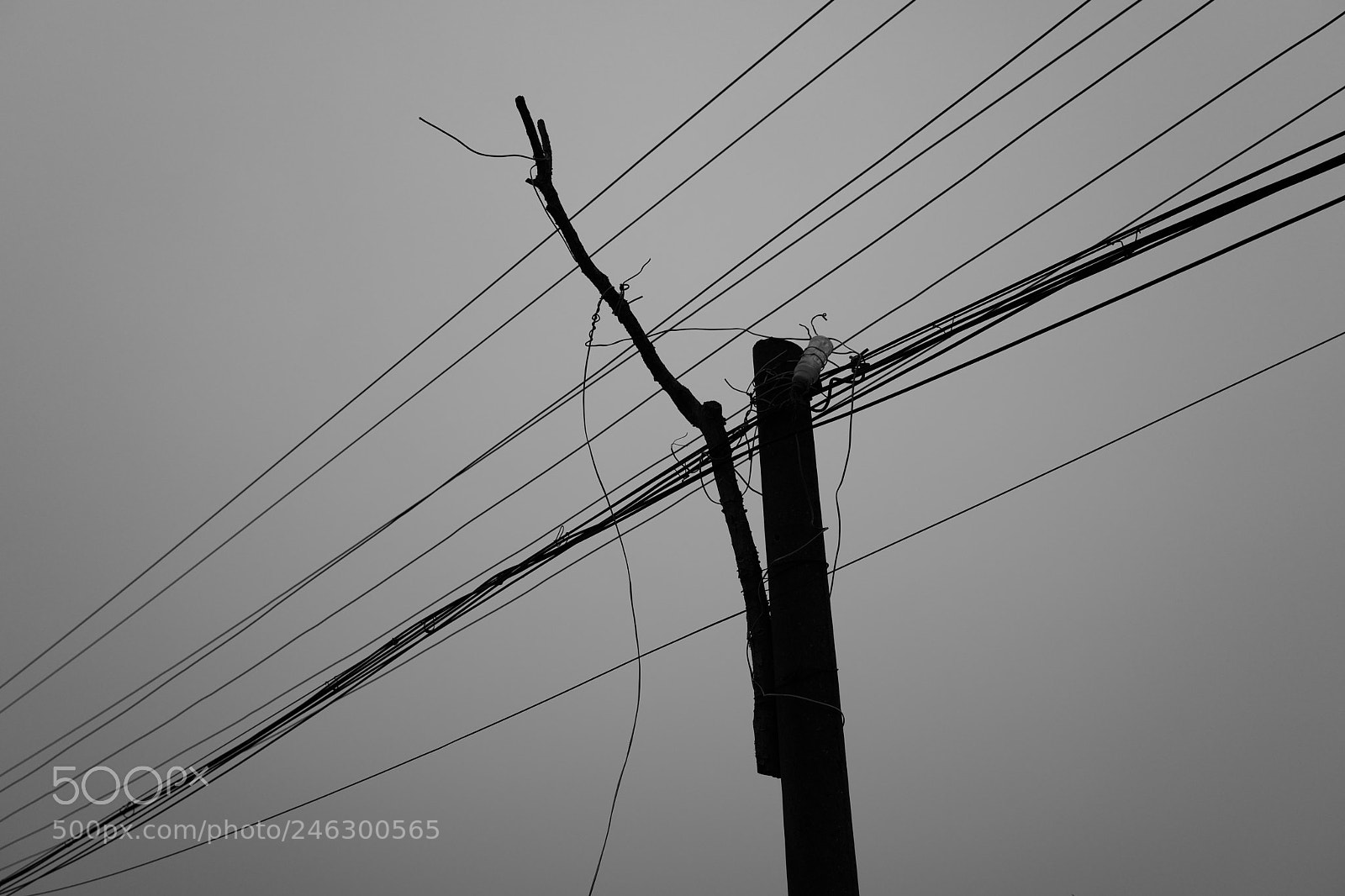 Leica Q (Typ 116) sample photo. Untitled photography