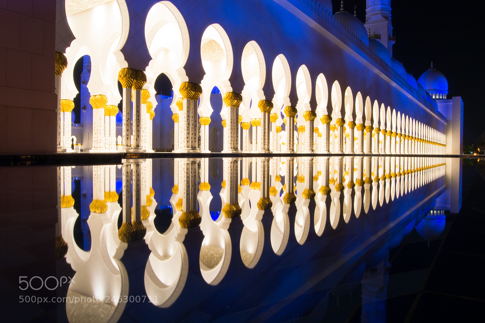 Nikon D3100 sample photo. Perfect reflection - 1 photography