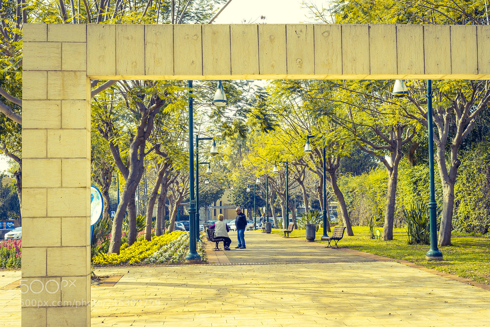 Nikon D5600 sample photo. Framed photography