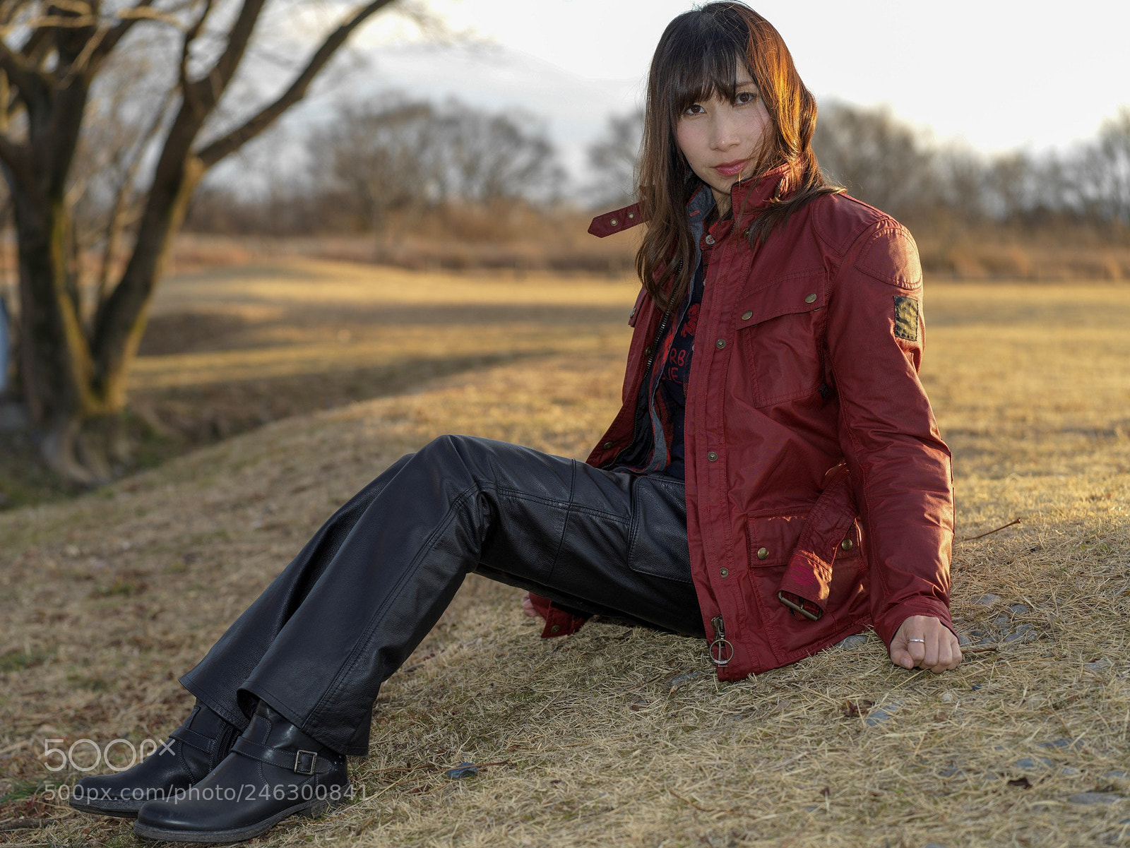 Hasselblad X1D-50c sample photo. Winter lawn square photography
