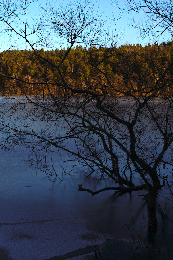 Canon EOS 7D + Sigma 35mm F1.4 DG HSM Art sample photo. Sollentuna, sweden photography