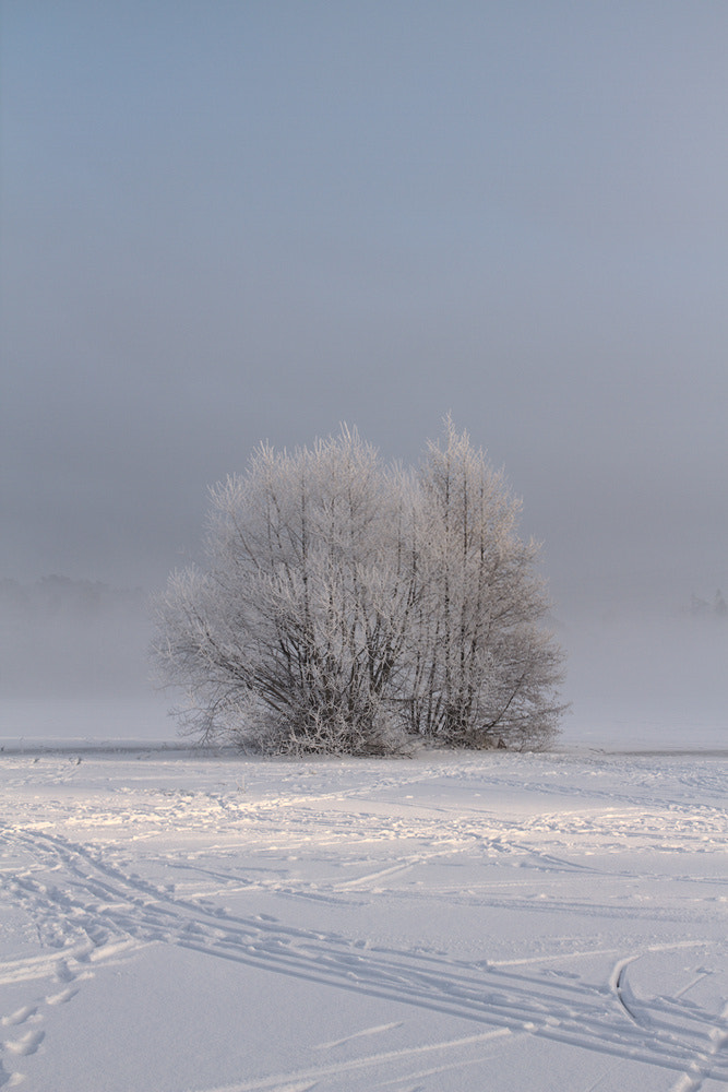 Canon EOS 7D + Sigma 35mm F1.4 DG HSM Art sample photo. Sollentuna, sweden photography