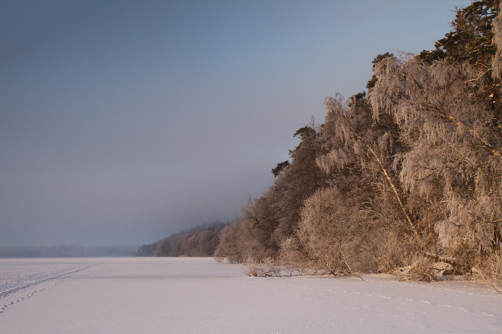 Canon EOS 7D + Sigma 35mm F1.4 DG HSM Art sample photo. Sollentuna, sweden photography