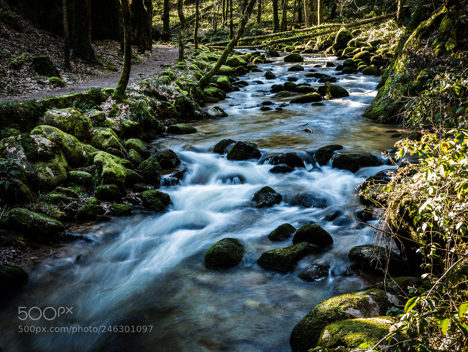Panasonic DMC-G81 sample photo. Ber dem wasser des photography
