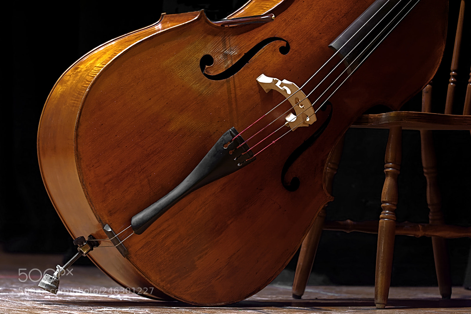 Nikon D7100 sample photo. Contrabass placed in an photography