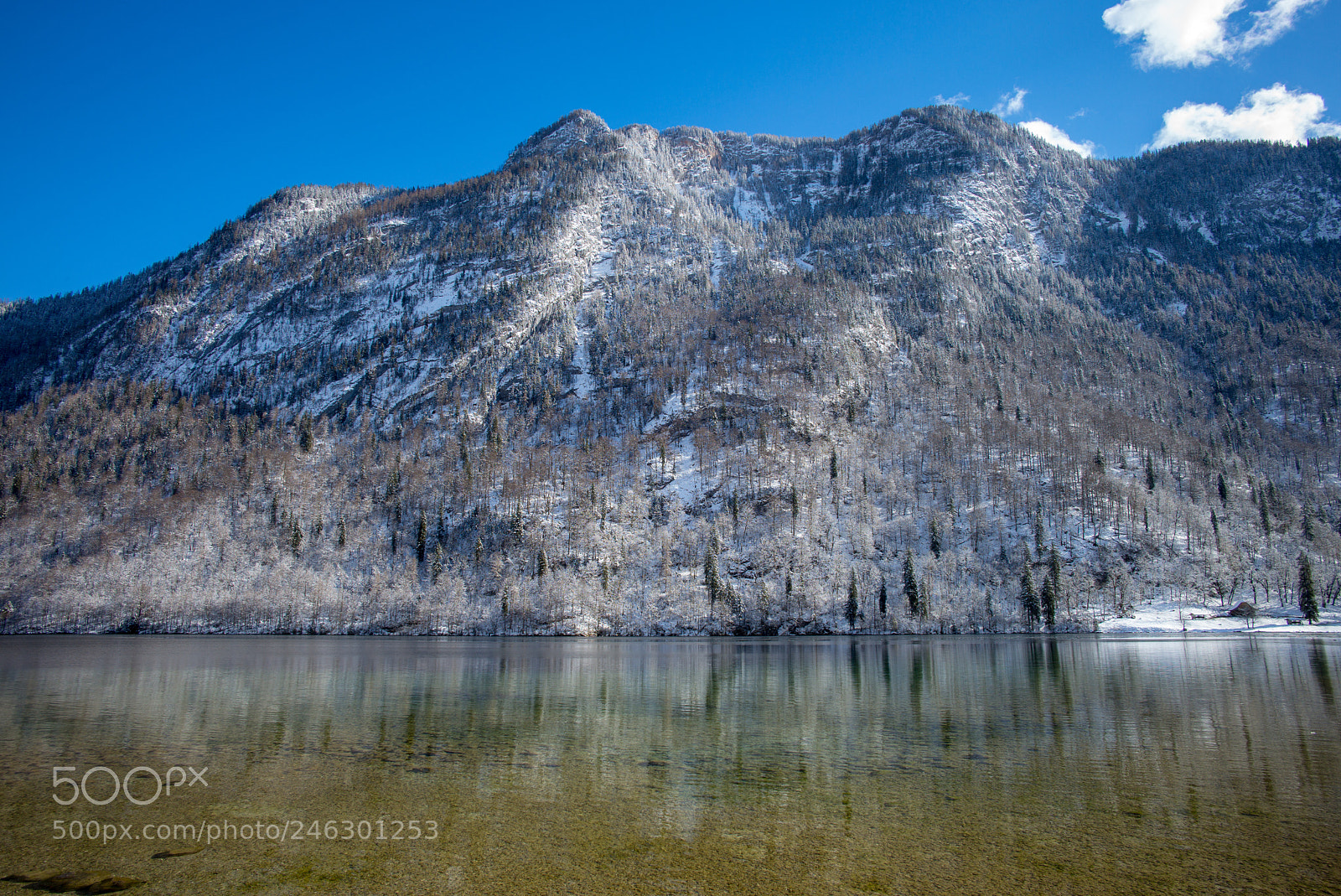 Leica M (Typ 240) sample photo. Königssee photography