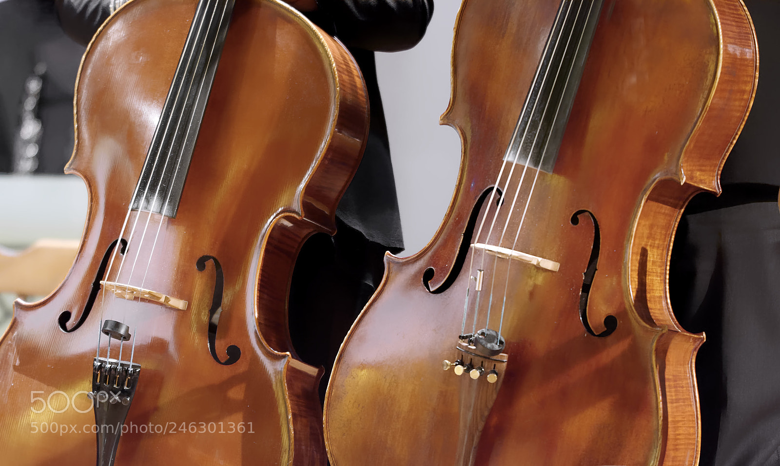 Nikon D7100 sample photo. Pair of cellos in photography