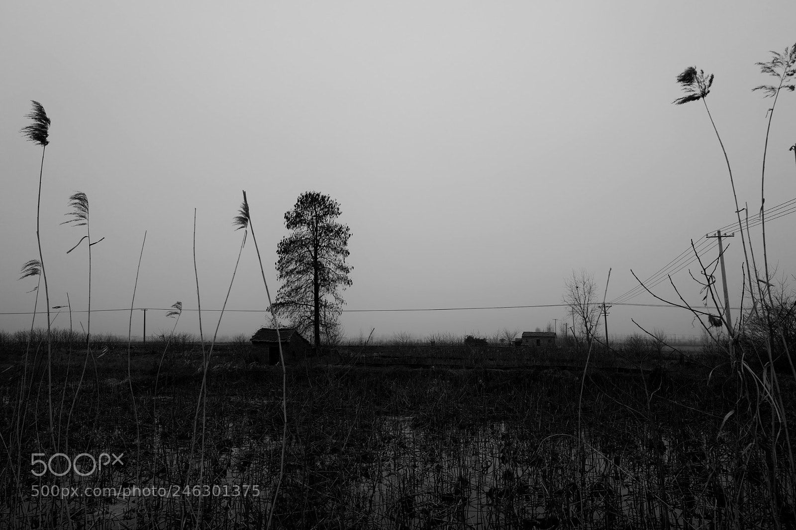 Leica Q (Typ 116) sample photo. Untitled photography
