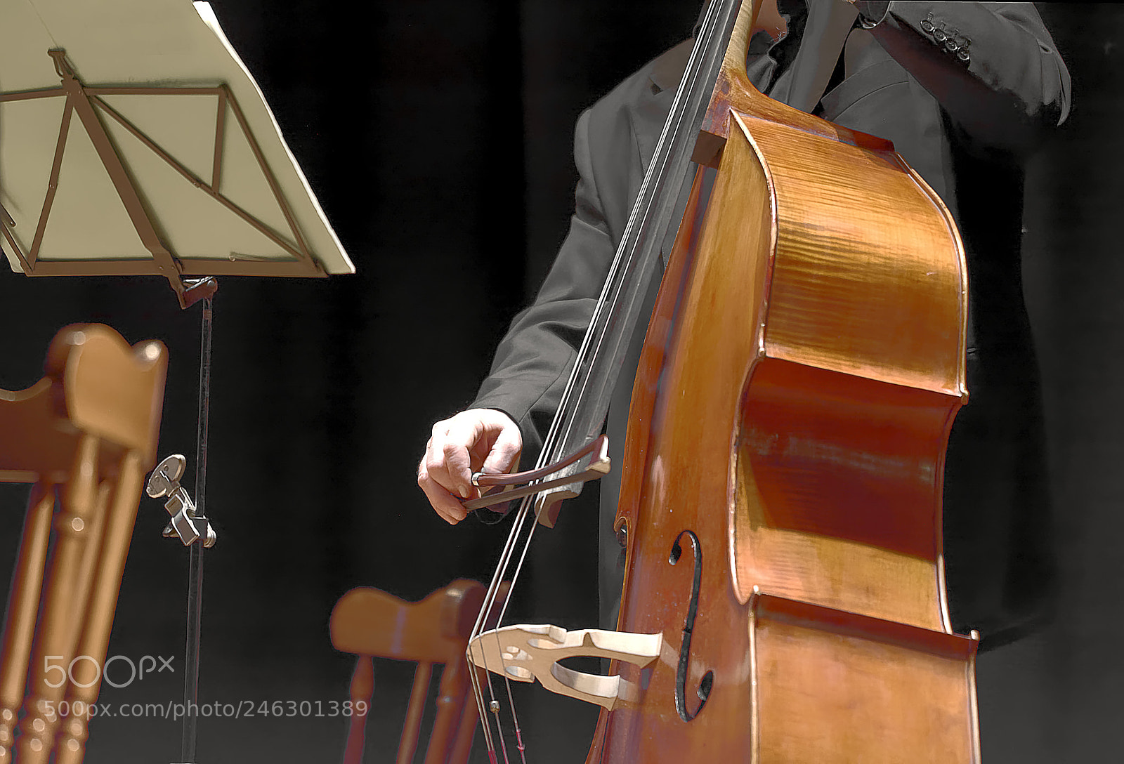 Nikon D7100 sample photo. Double bass player during photography