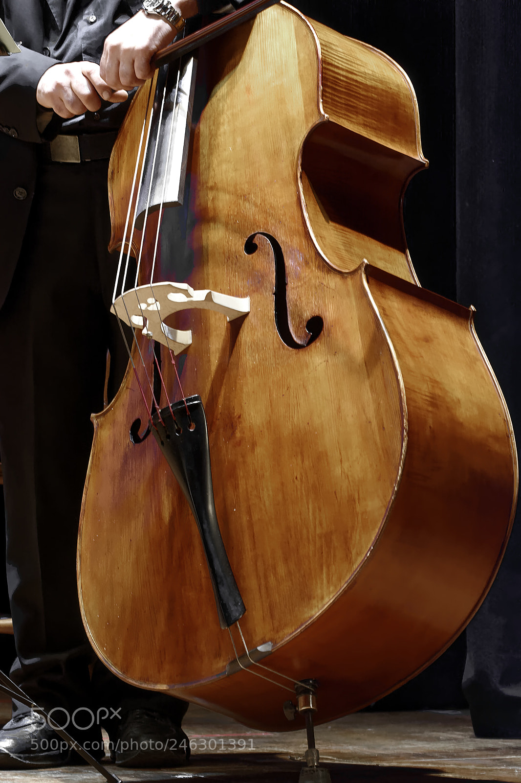 Nikon D7100 sample photo. Double bass player at photography