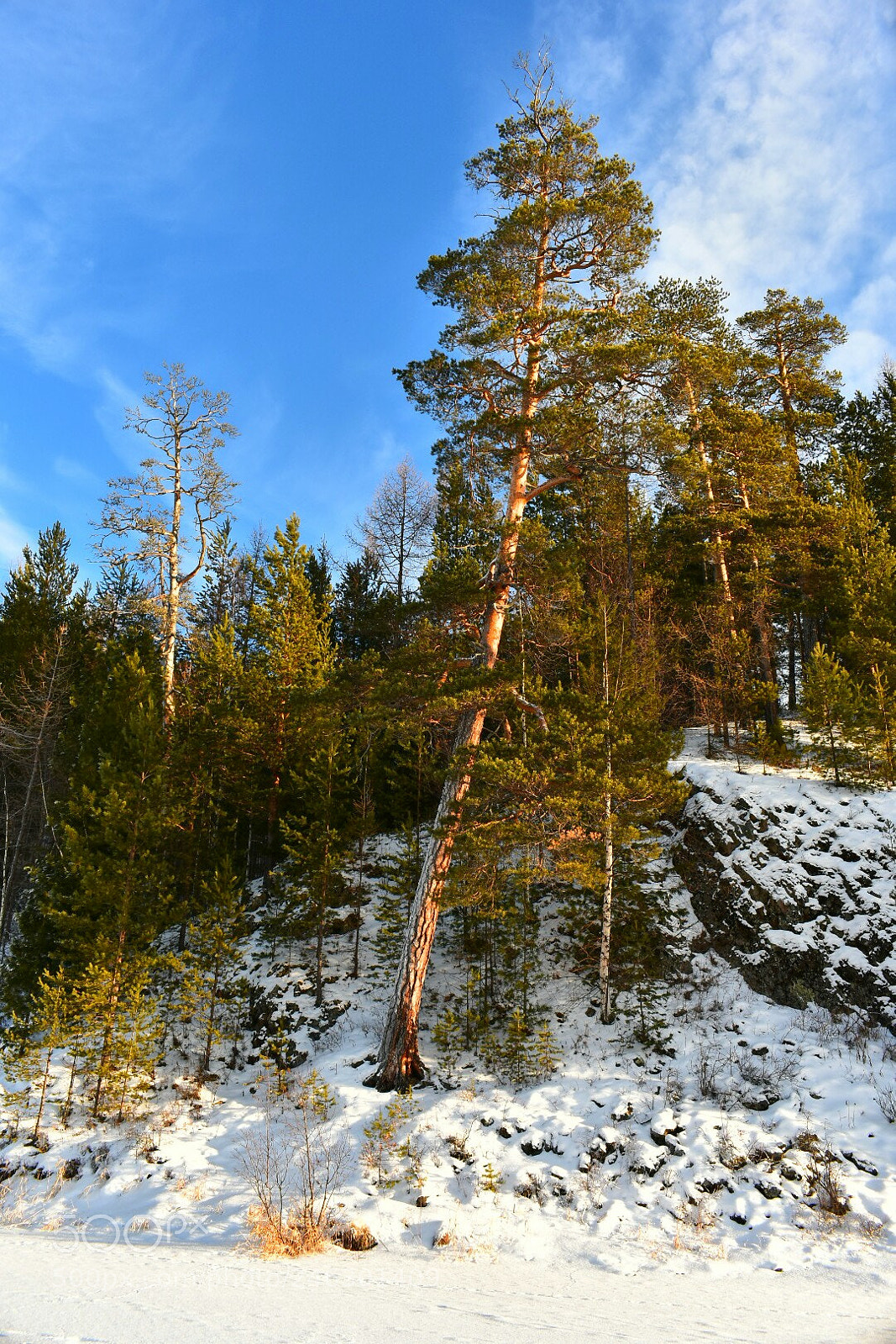 Nikon D3400 sample photo. На холме photography