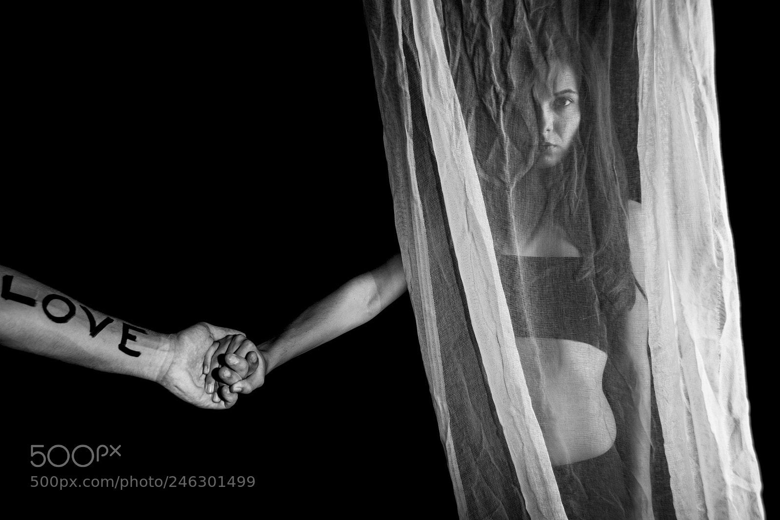 Nikon D610 sample photo. File photography