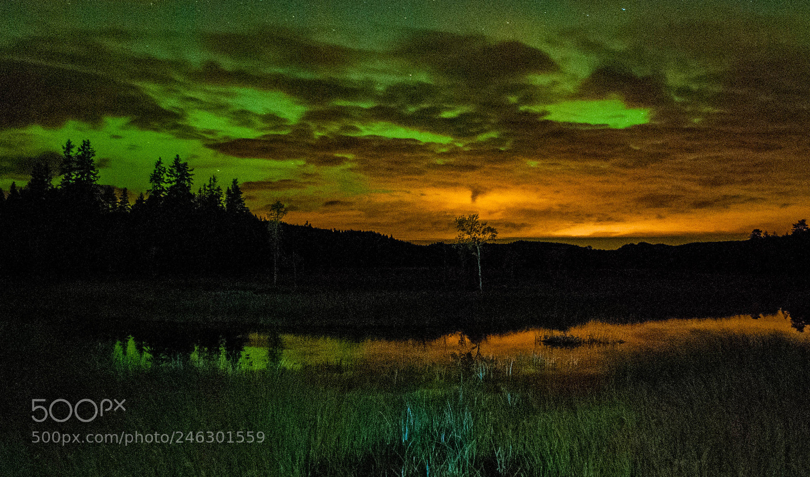 Nikon D80 sample photo. Aurora polaris photography