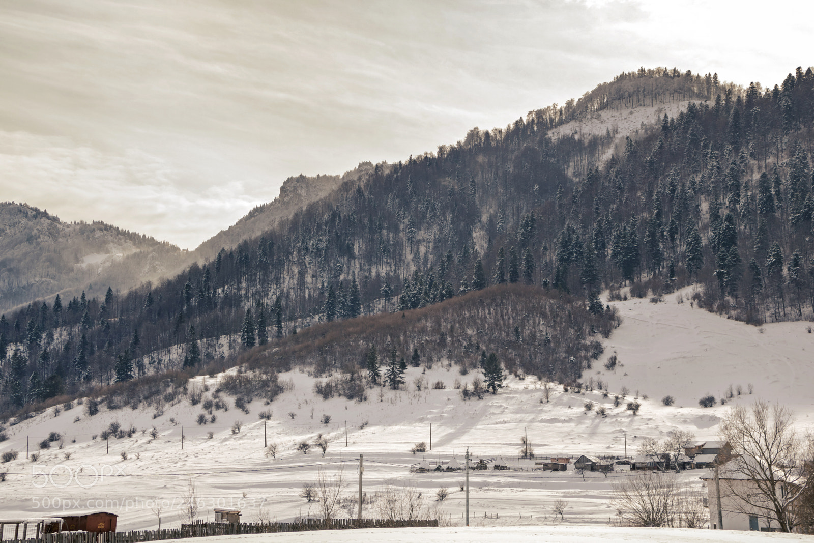 Canon EOS 750D (EOS Rebel T6i / EOS Kiss X8i) sample photo. Winter in zarnesti photography