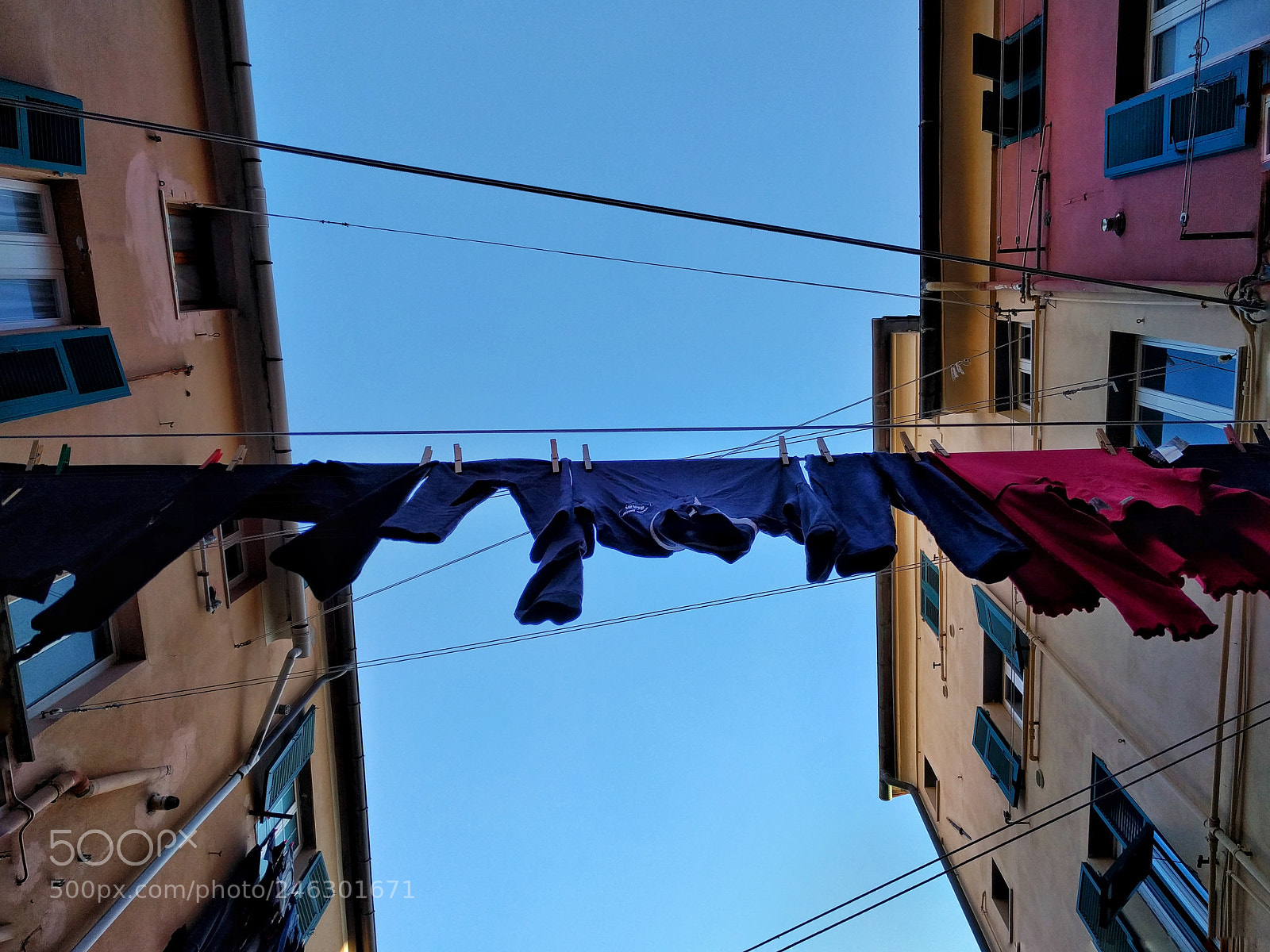 LG Nexus 5X sample photo. Cloths photography