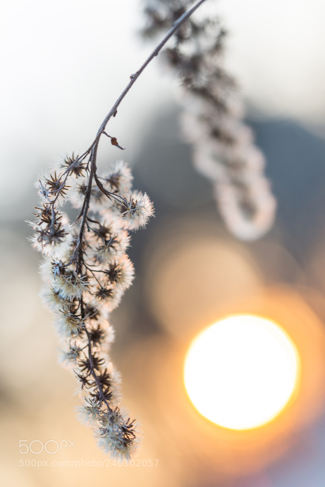 Nikon D610 sample photo. Sunset colors photography