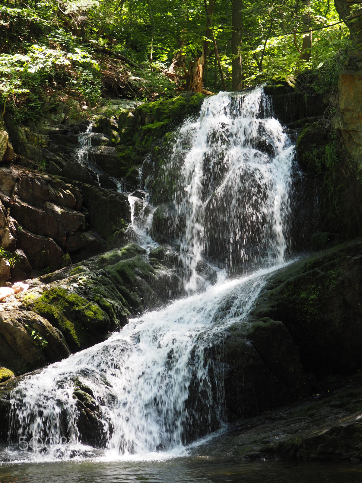 Olympus OM-D E-M10 II sample photo. Indian brook falls photography