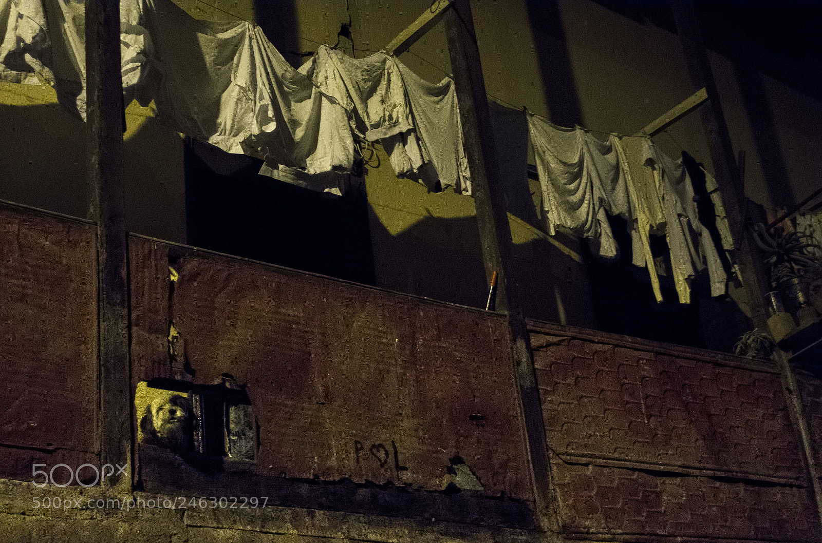 Nikon D5200 sample photo. Los vigilantes photography