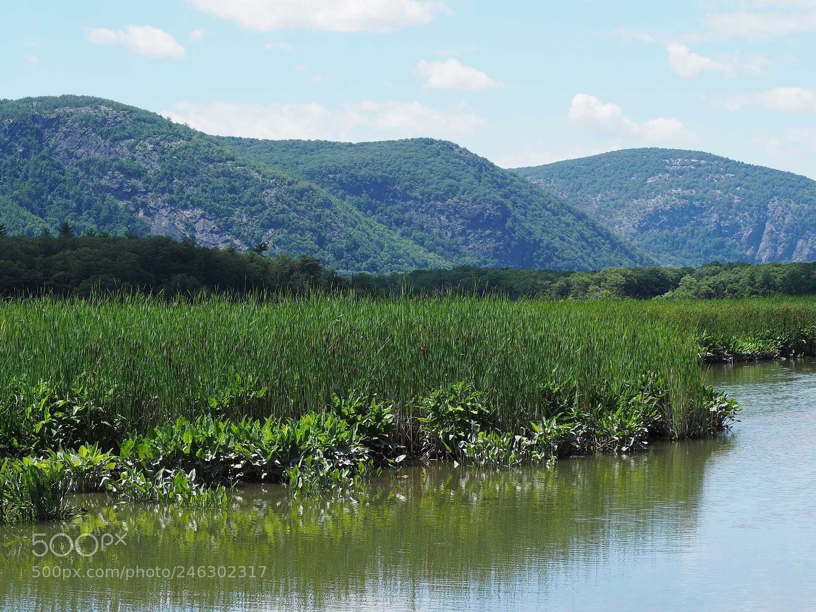 Olympus OM-D E-M10 II sample photo. Constitution marsh in the photography