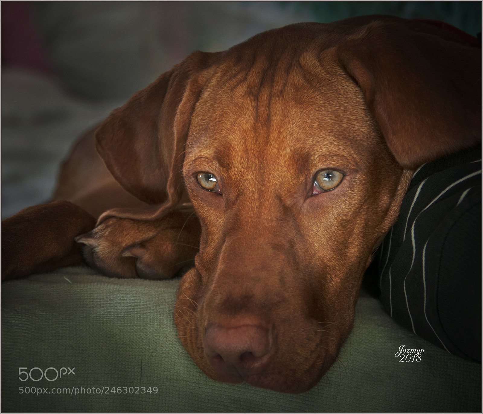 Nikon D300S sample photo. Jpg b photography
