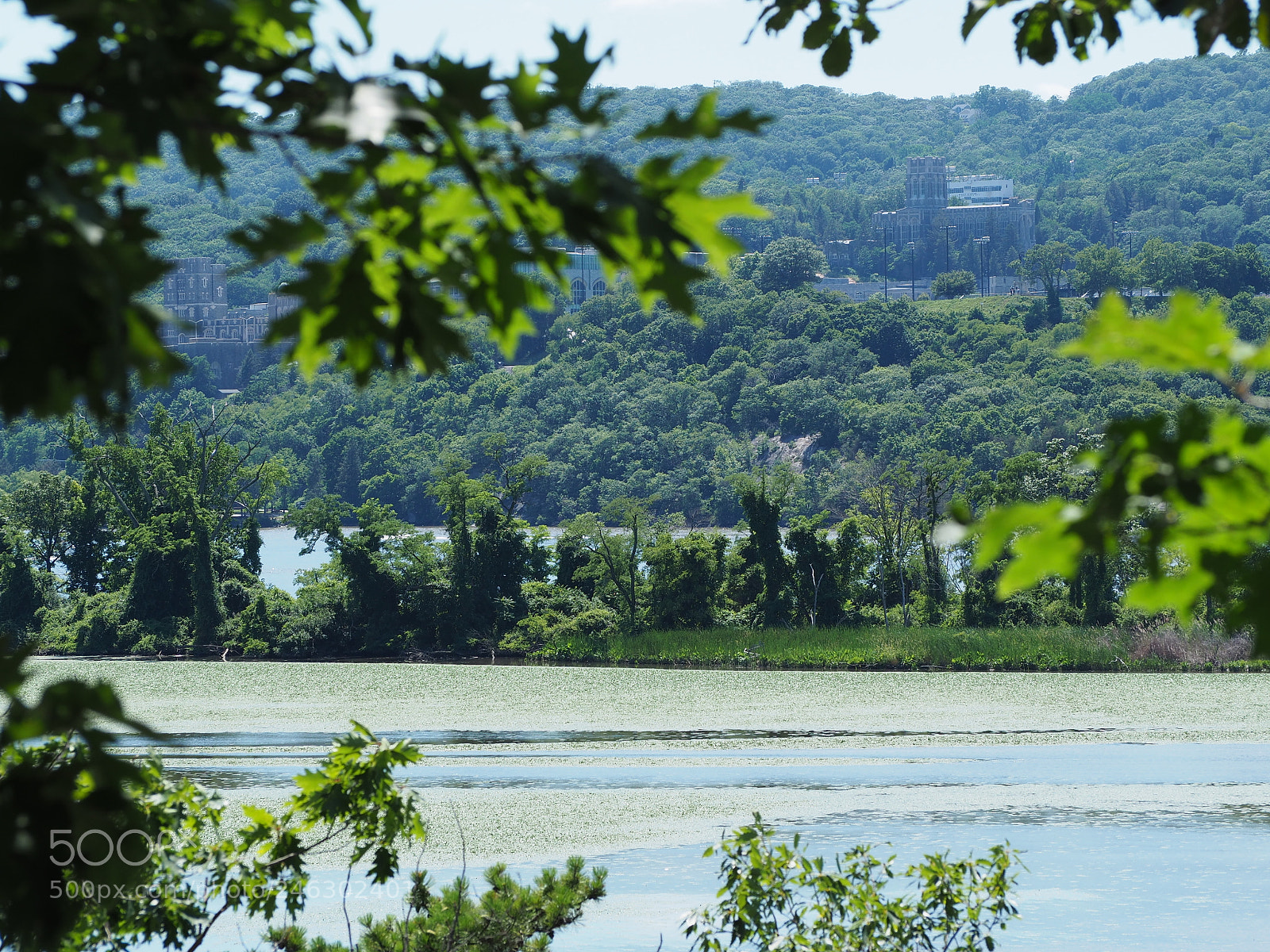 Olympus OM-D E-M10 II sample photo. Constitution marsh in the photography