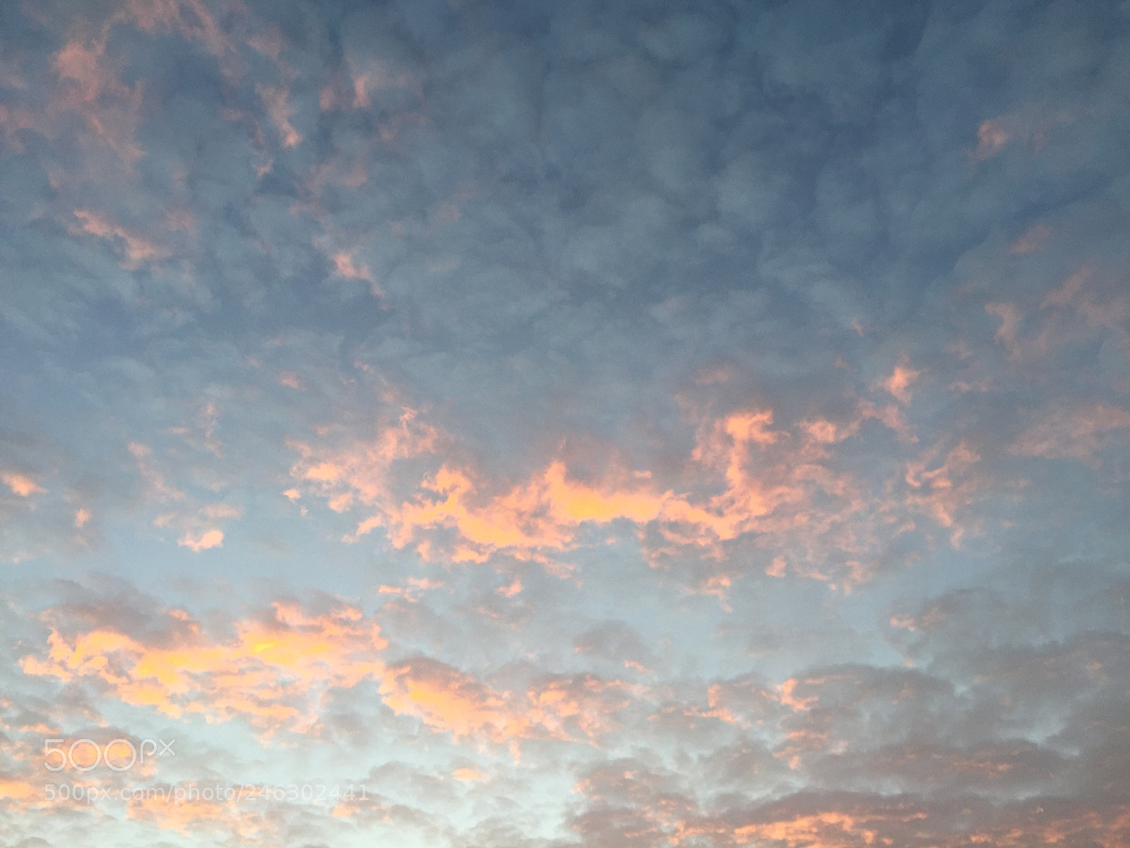 Apple iPhone 6 sample photo. Winterevening shutdown photography