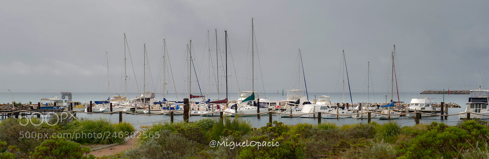 Nikon D3S sample photo. Marine photography