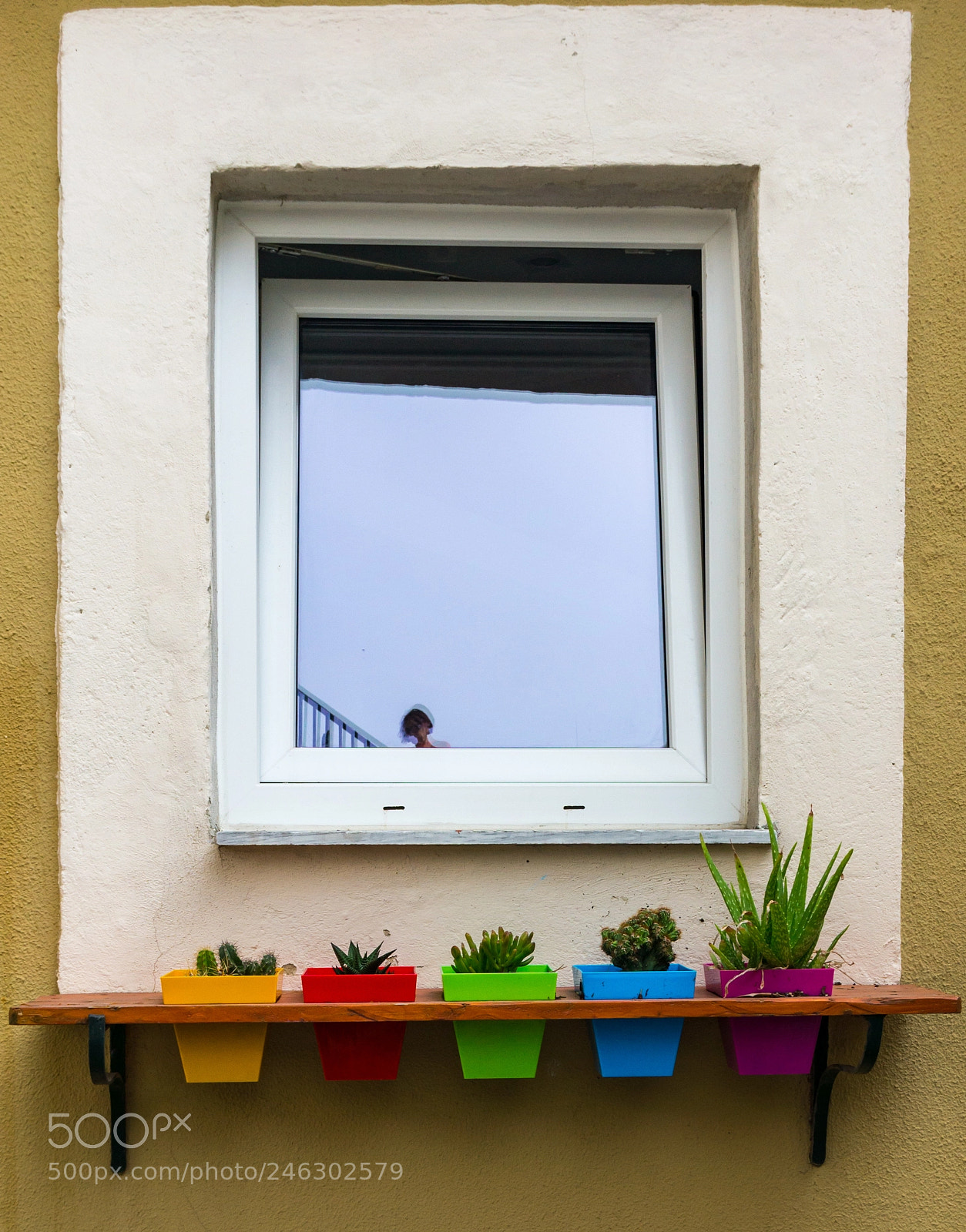 Sony Alpha NEX-5N sample photo. Color window photography