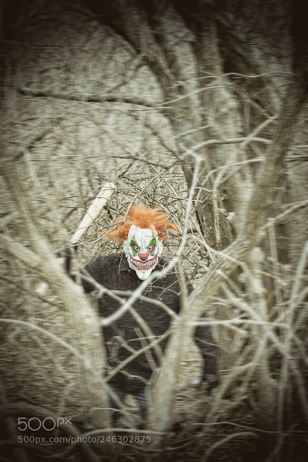 Nikon D3400 sample photo. Coulrophobia dos photography