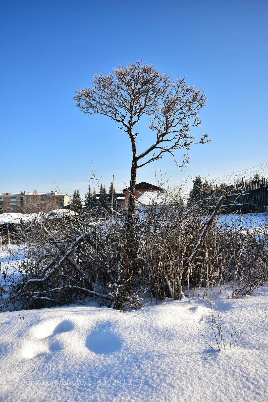 Nikon D3400 sample photo. Одиночество photography