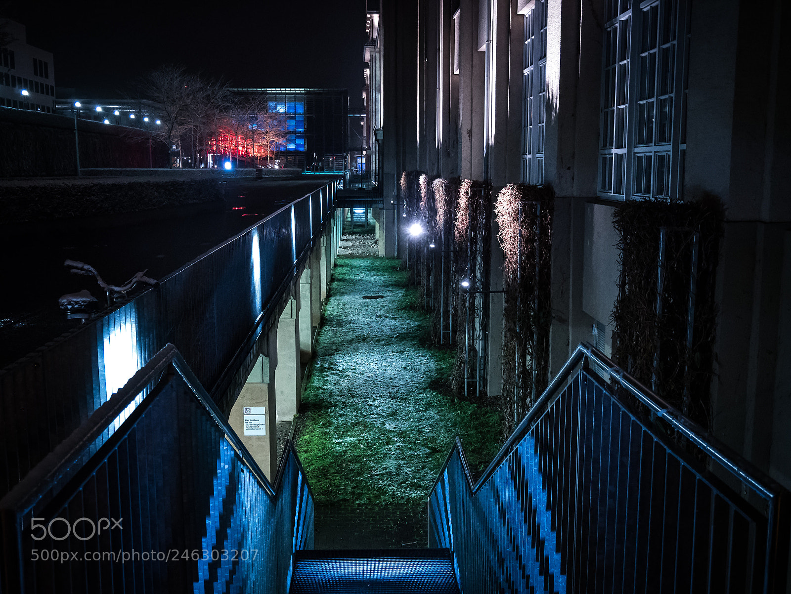 Panasonic DMC-G81 sample photo. Treppen an der staat photography