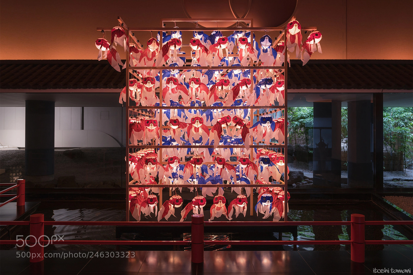 Sony a7R II sample photo. Yanai kingyo chochin matsuri photography