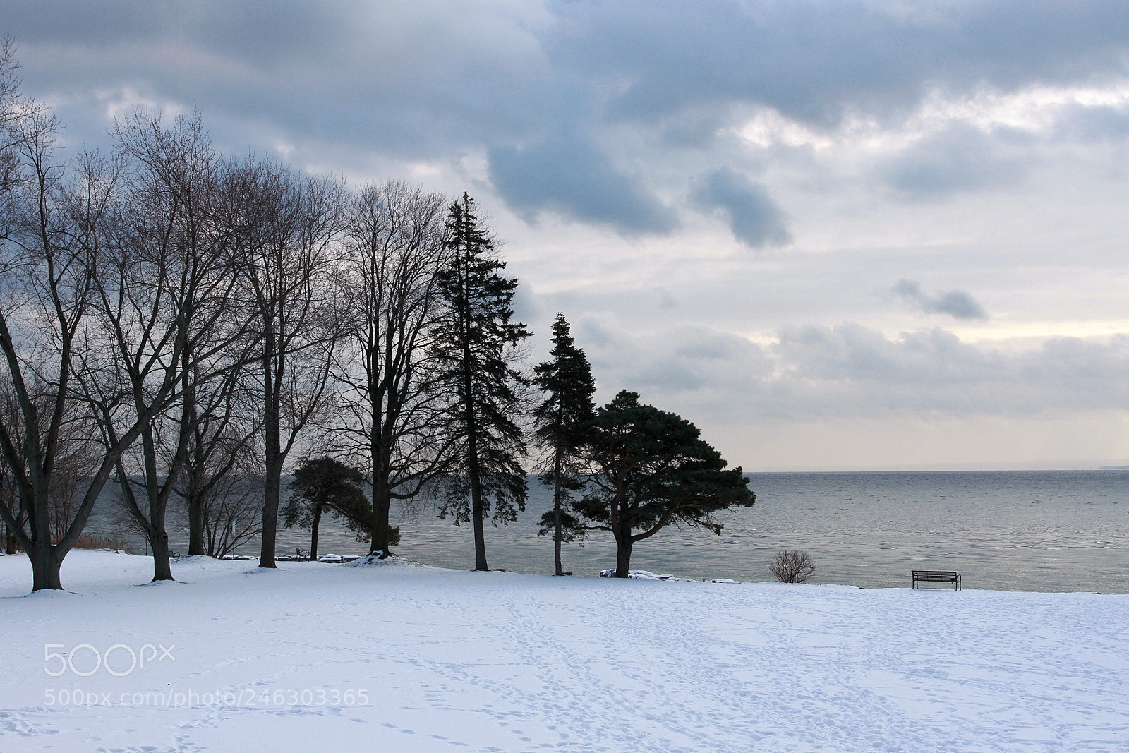 Canon EOS 7D sample photo. Winter by the lake photography