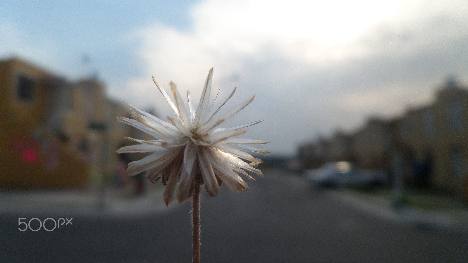 Samsung WB30F/WB31F/WB32F sample photo. ... photography