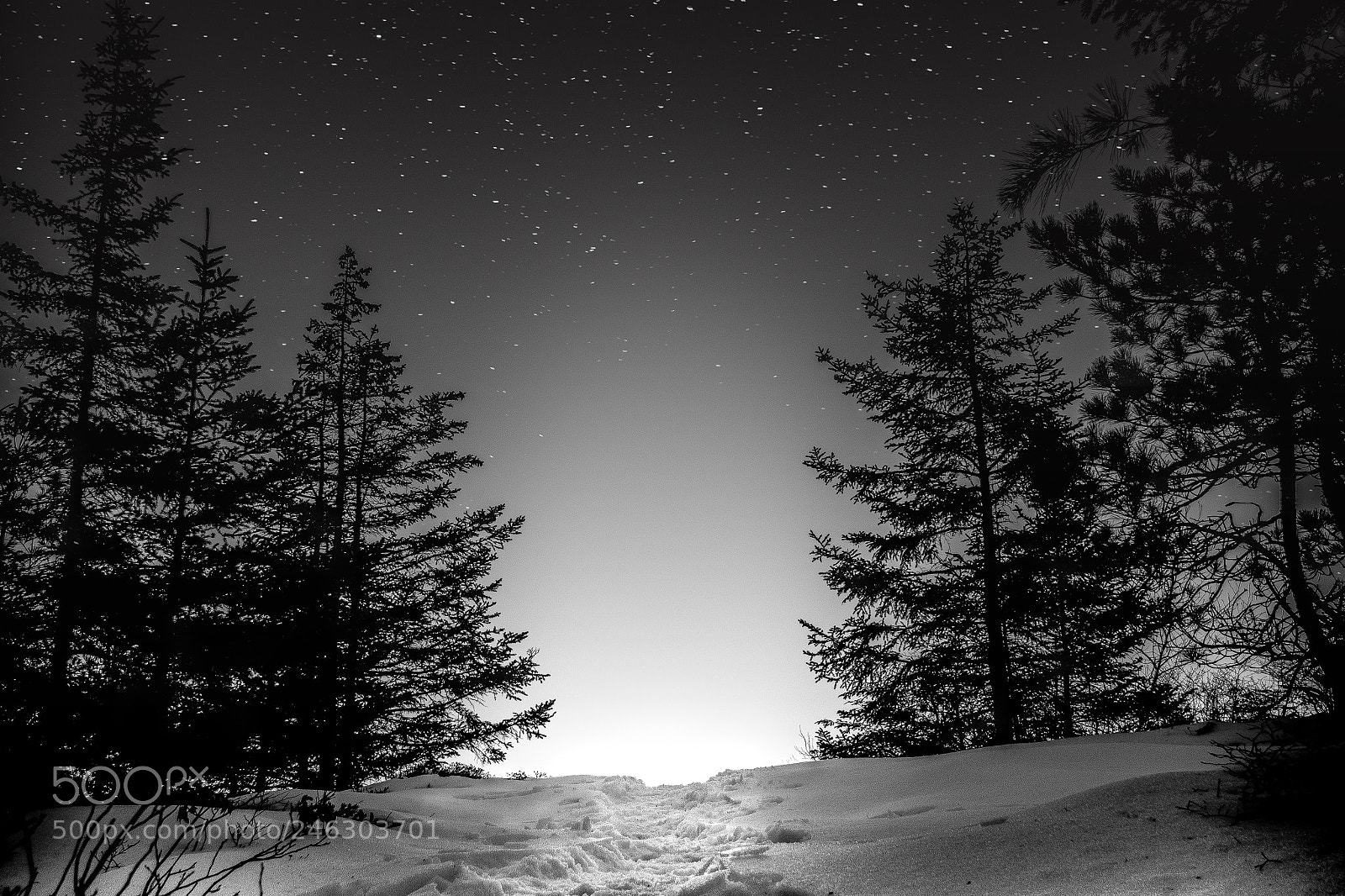 Olympus OM-D E-M10 II sample photo. Night aura photography