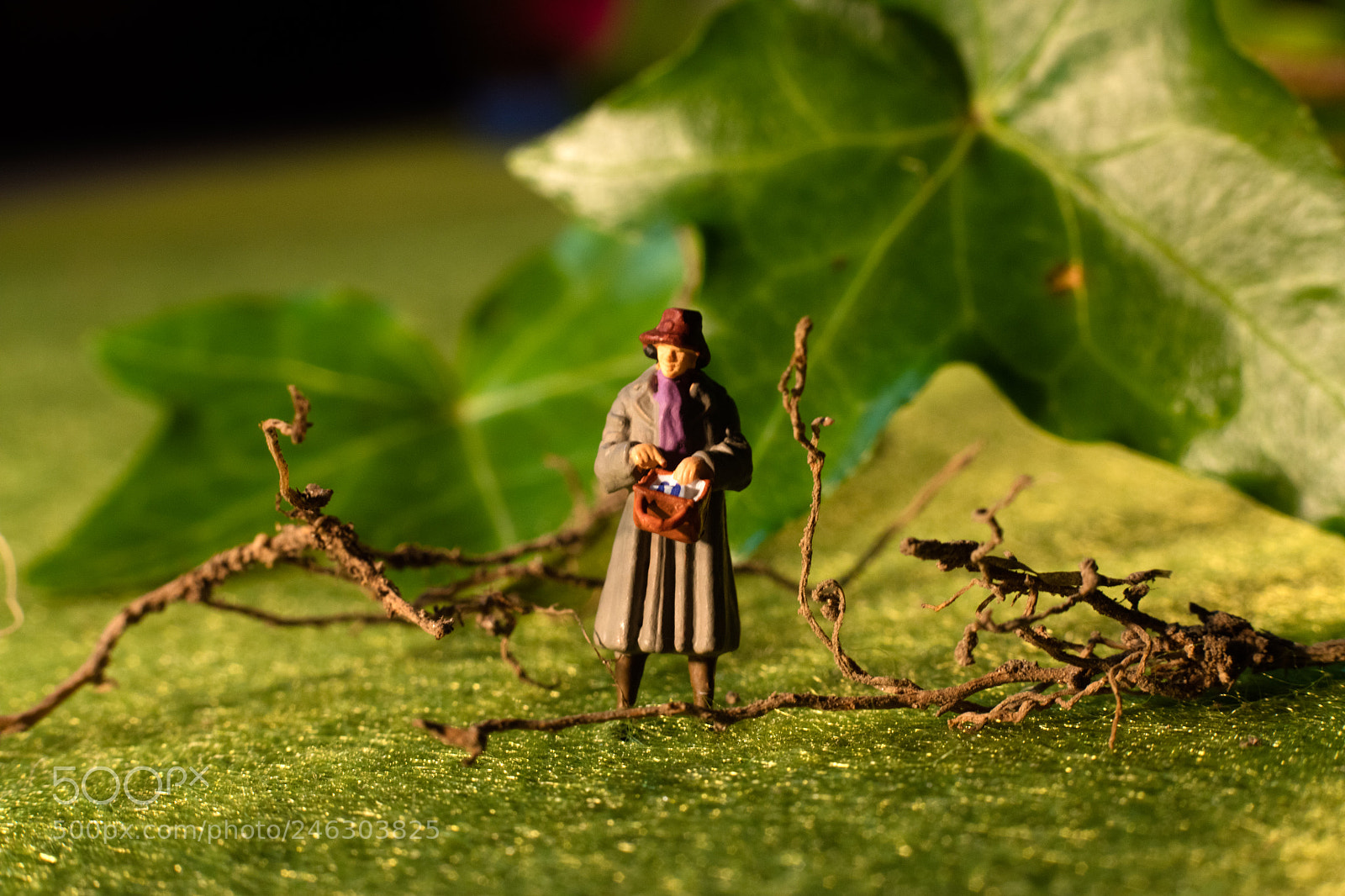 Canon EOS 5DS sample photo. 3.jpg photography