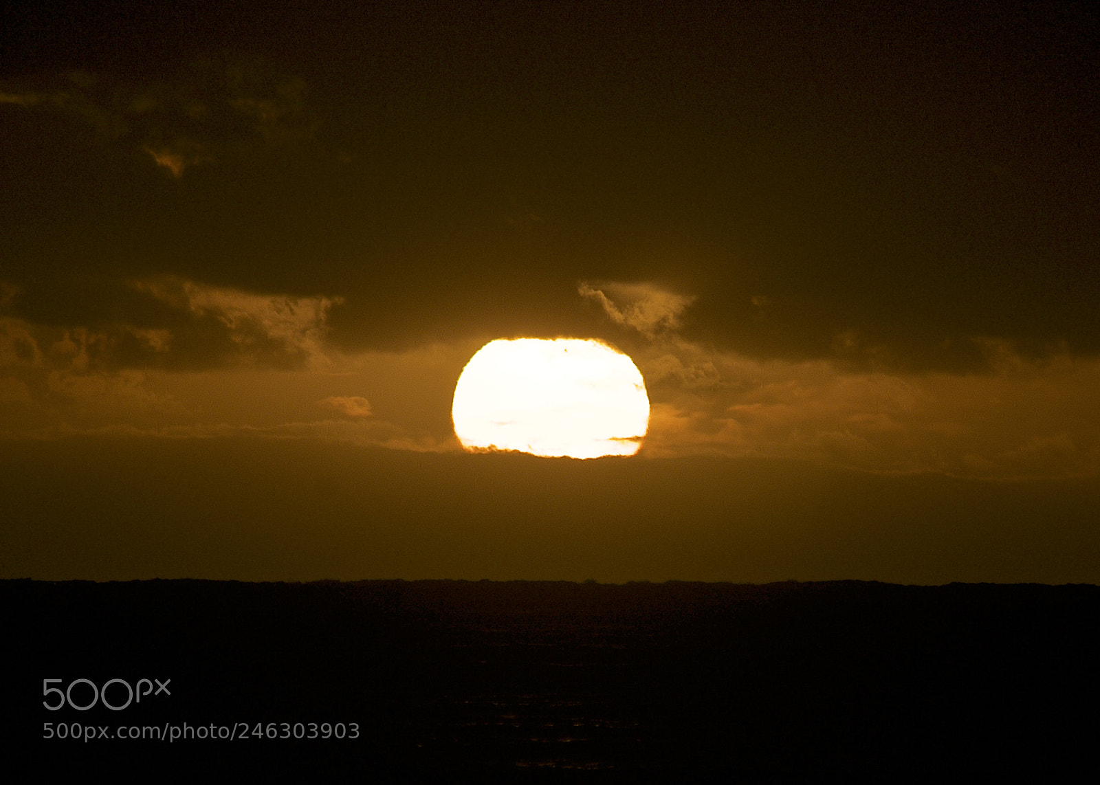 Nikon D300 sample photo. Golden hour. photography