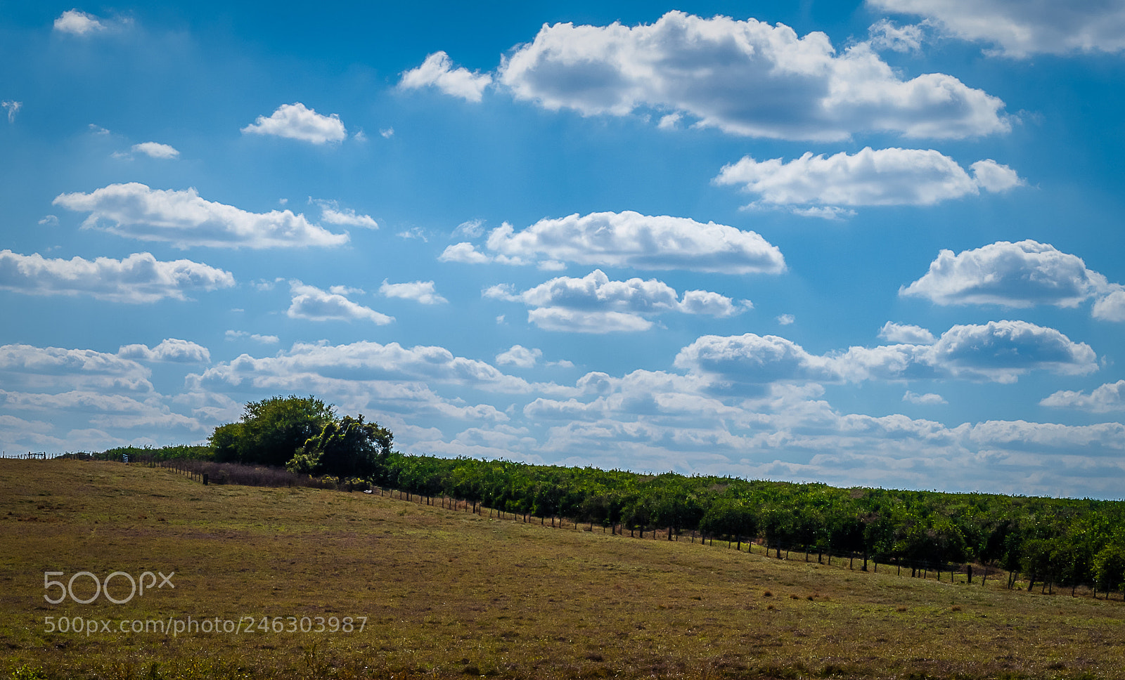 Nikon D5000 sample photo. Farmland first hdr attempt photography