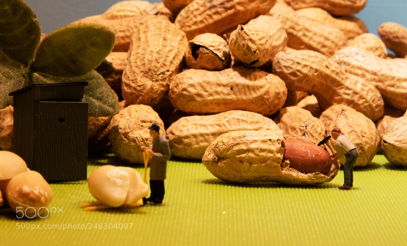 Canon EOS 5DS sample photo. 7.jpg photography