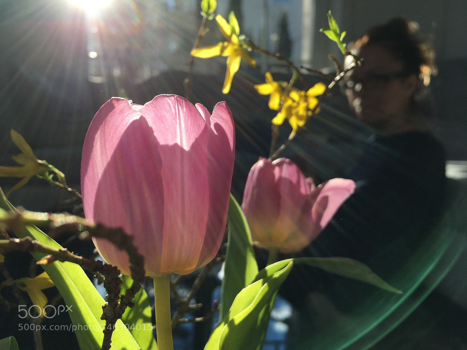 Apple iPhone SE sample photo. Spring photography