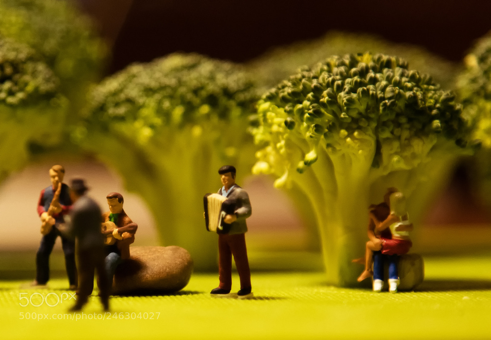 Canon EOS 5DS sample photo. 15.jpg photography