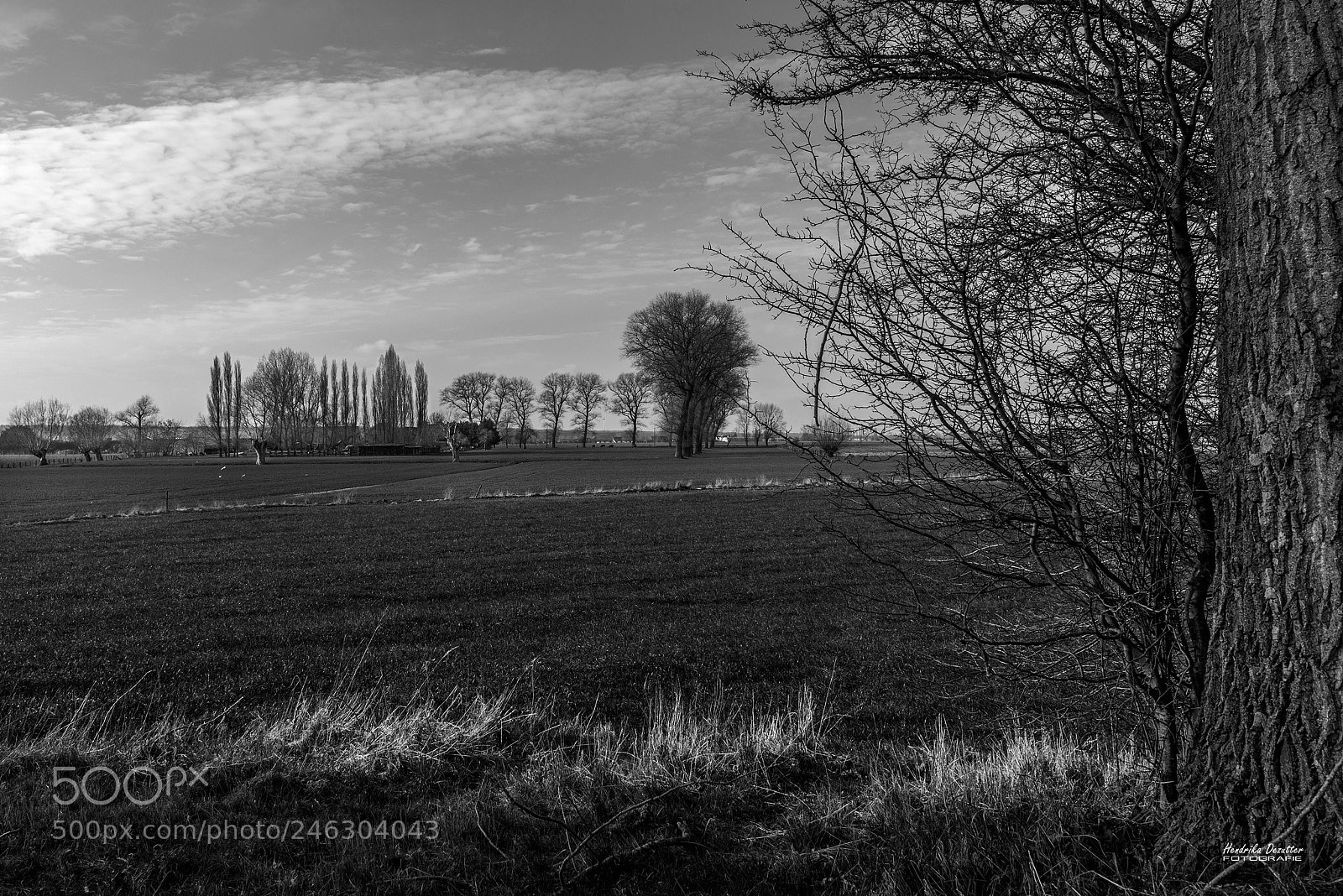 Nikon D800 sample photo. Rural view - oostkerke photography