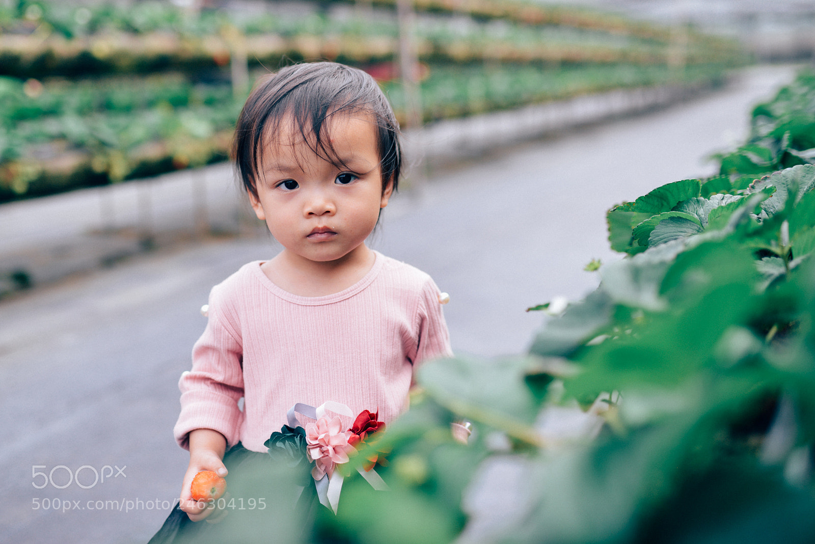 Nikon D800 sample photo. Eye photography