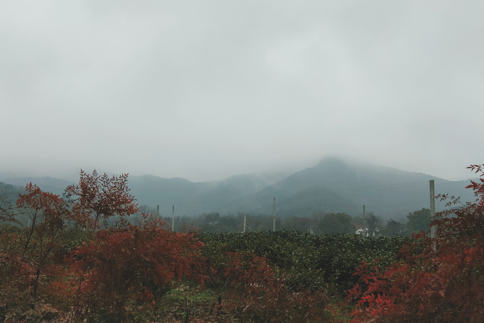 OPPO R11 sample photo. Cold photography