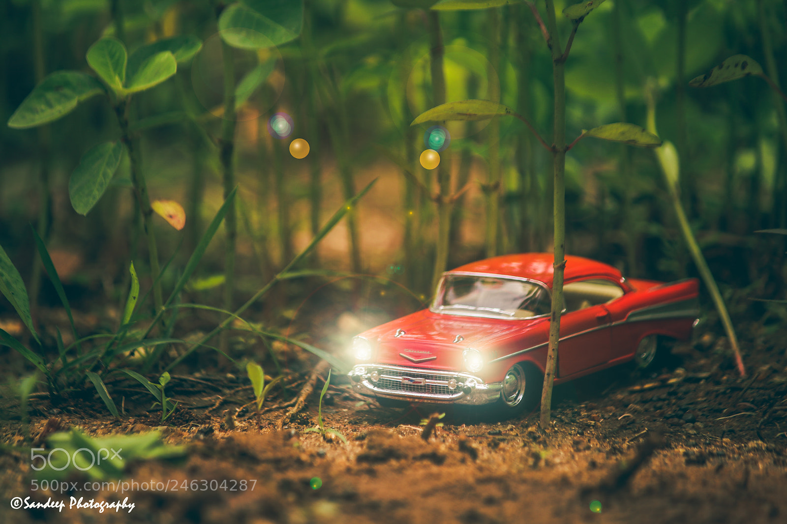 Canon EOS 750D (EOS Rebel T6i / EOS Kiss X8i) sample photo. Drive in the woods photography