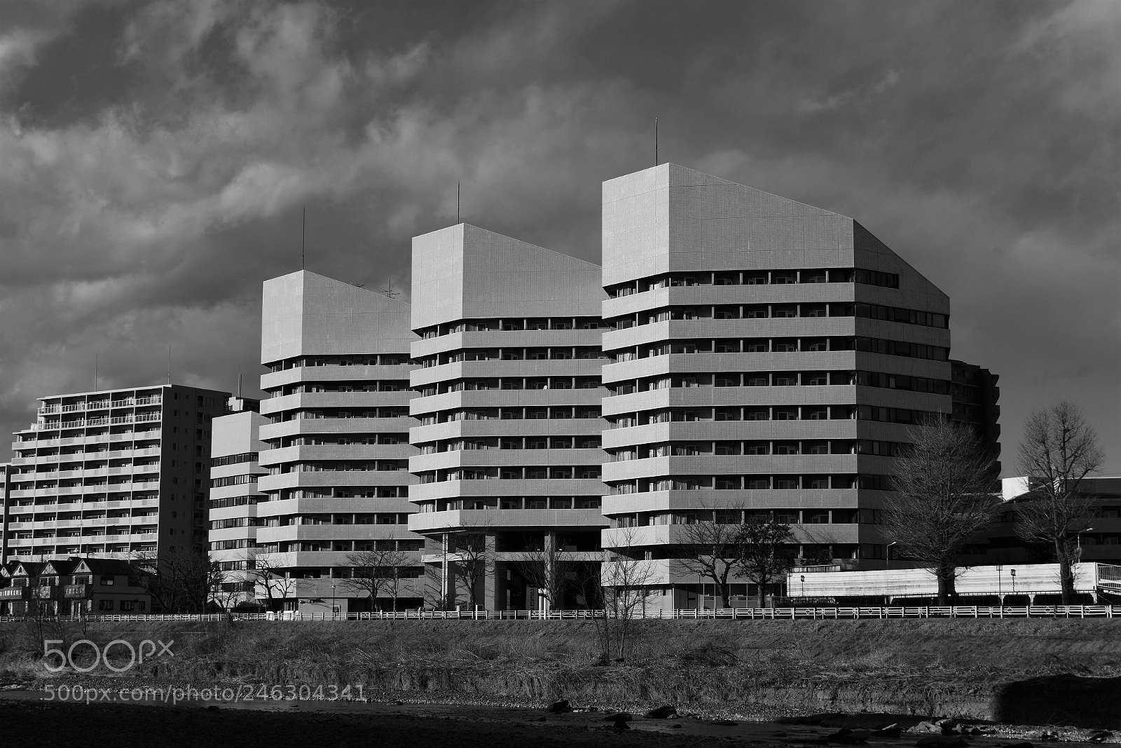 Nikon D500 sample photo. Three tones photography